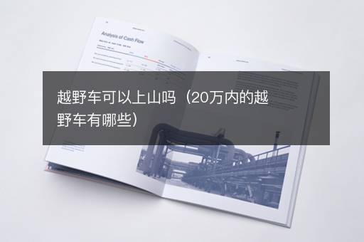 越野车可以上山吗（20万内的越野车有哪些）