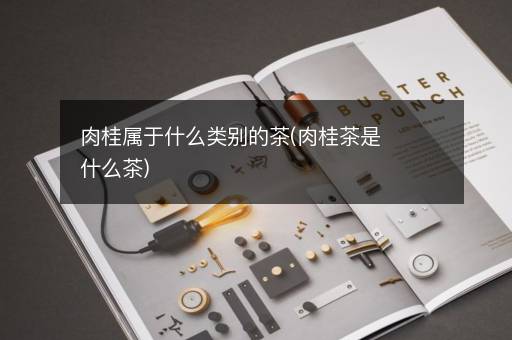 肉桂属于什么类别的茶(肉桂茶是什么茶)