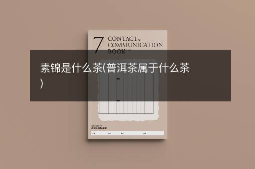 素锦是什么茶(普洱茶属于什么茶)