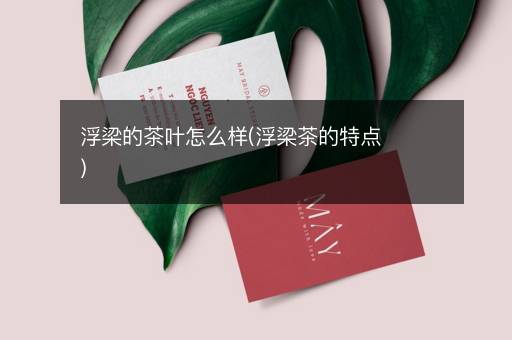 浮梁的茶叶怎么样(浮梁茶的特点)