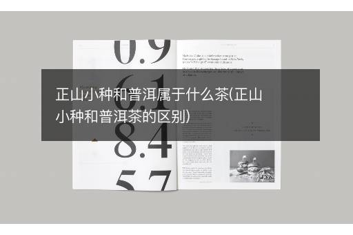 正山小种和普洱属于什么茶(正山小种和普洱茶的区别)
