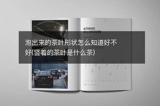 泡出来的茶叶形状怎么知道好不好(竖着的茶叶是什么茶)
