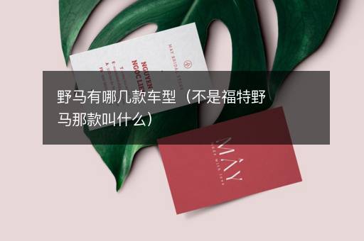 野马有哪几款车型（不是福特野马那款叫什么）
