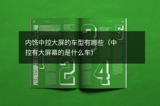 内饰中控大屏的车型有哪些（中控有大屏幕的是什么车）