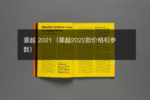 豪越 2021（豪越2022款价格和参数）