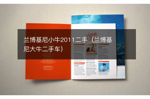 兰博基尼小牛2011二手（兰博基尼大牛二手车）