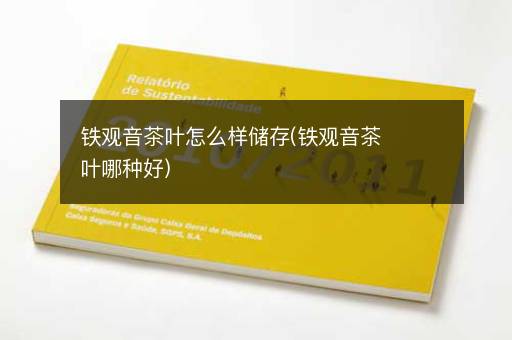 铁观音茶叶怎么样储存(铁观音茶叶哪种好)