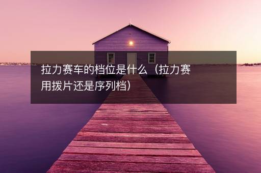 拉力赛车的档位是什么（拉力赛用拨片还是序列档）