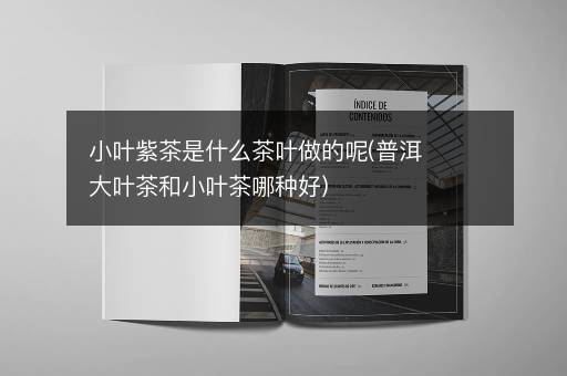 小叶紫茶是什么茶叶做的呢(普洱大叶茶和小叶茶哪种好)
