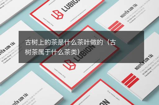 古树上的茶是什么茶叶做的（古树茶属于什么茶类）