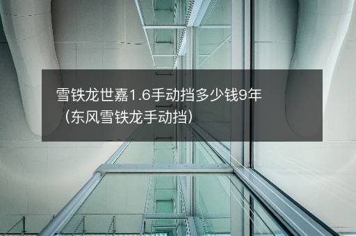 雪铁龙世嘉1.6手动挡多少钱9年（东风雪铁龙手动挡）